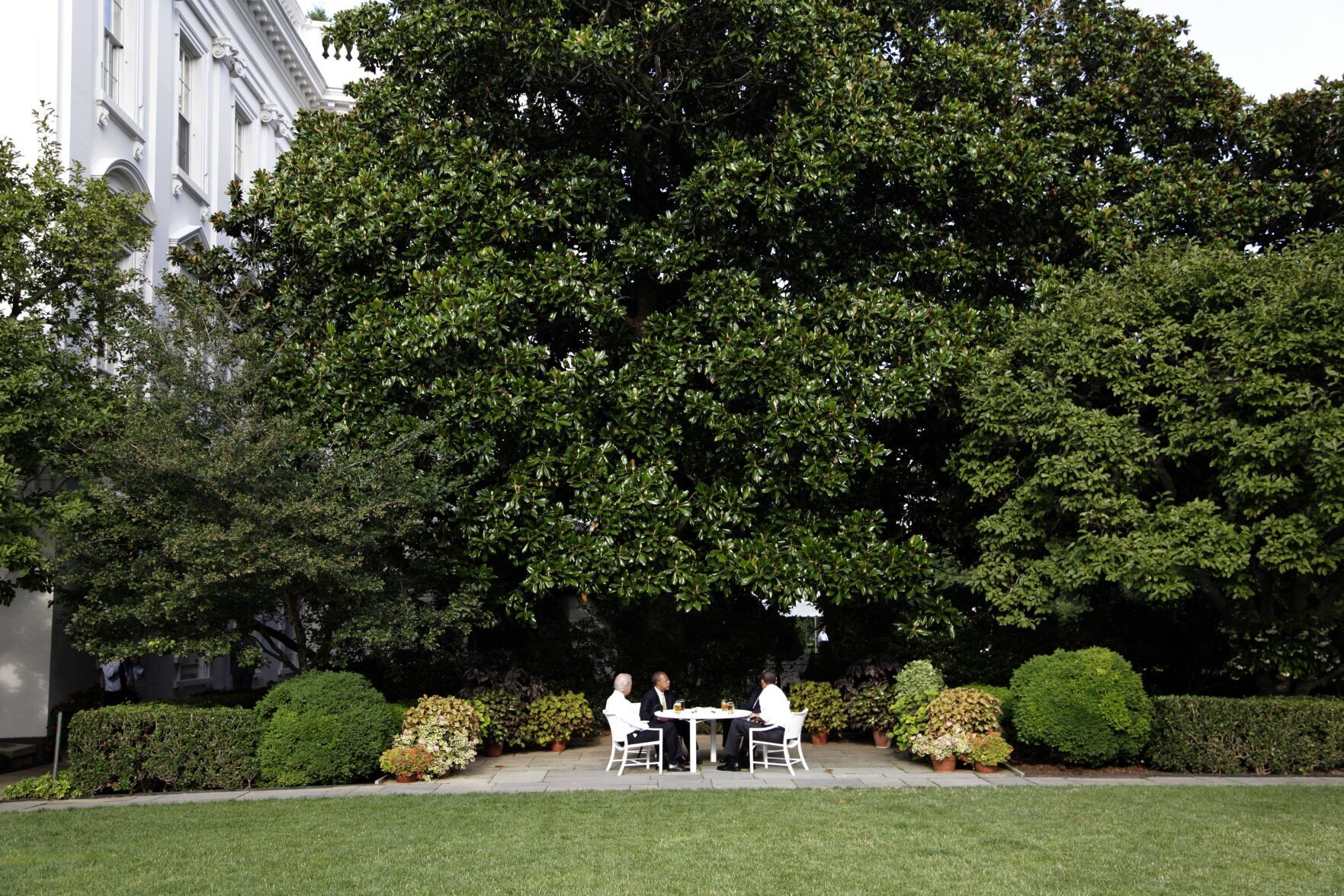 Trump Rose Garden